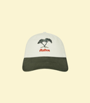 Casquette Dad Torrey - Aigrette